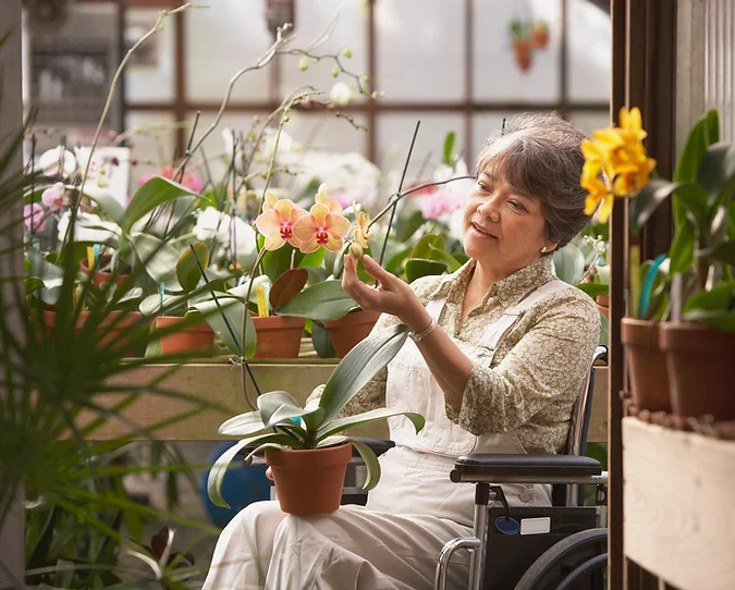 A woman admiring flowers